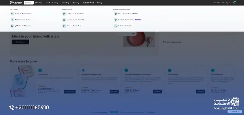 طريقة حجز دومين من جودادي 1